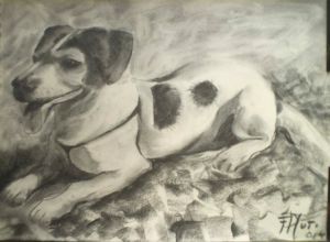Napoleone 3