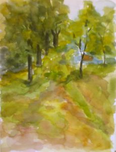 Alberi 1