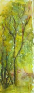 Albero 4