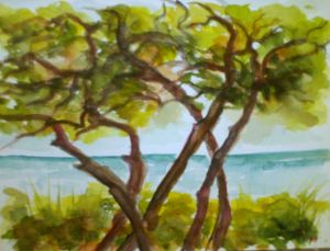 Baratti 2